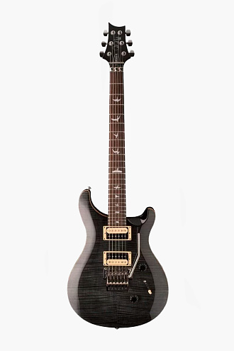 Электрогитара PRS SE CUSTOM 24 FLOYD GRAY BLACK - купить в "Гитарном Клубе"