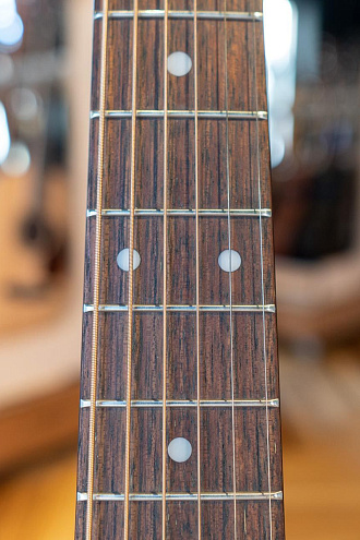 Акустическая гитара Ditson D-10 - купить в "Гитарном Клубе"