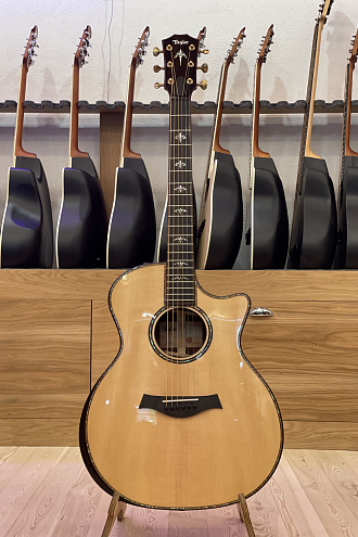 Электроакустическая гитара Taylor 914ce - купить в "Гитарном Клубе"