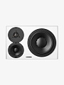 Студийный монитор Dynaudio LYD 48 L B/W - купить в "Гитарном Клубе"