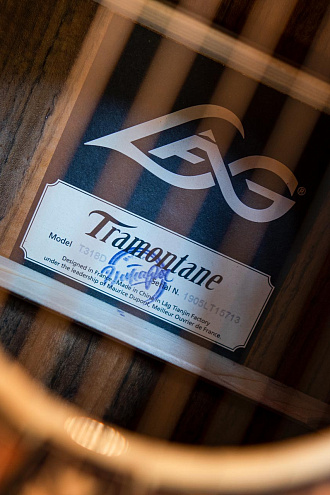 Акустическая гитара LAG GLA T318D - купить в "Гитарном Клубе"