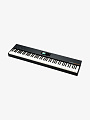 MIDI-контроллер Studiologic SL88 Grand - купить в "Гитарном Клубе"
