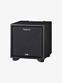 Студийный монитор Roland CUBE MONITOR CM-220 - купить в "Гитарном Клубе"