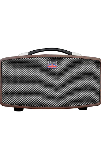 Усилитель для электрогитары Carlsbro Stingray D5, 20Вт - купить в "Гитарном Клубе"