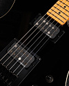 Электрогитара Schecter Pt Blk M\M - купить в "Гитарном Клубе"