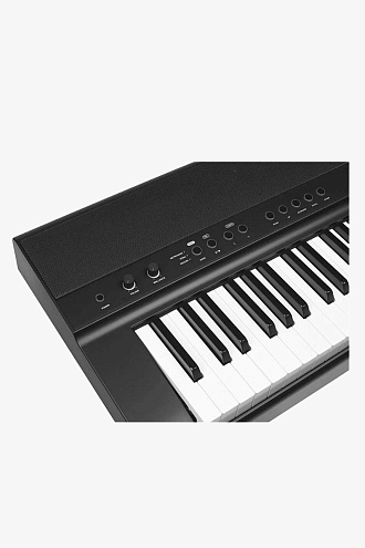 Цифровое пианино Medeli SP201Plus BK - купить в "Гитарном Клубе"