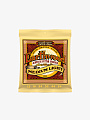 Струны для акустической гитары Ernie Ball 2003 Earthwood 80/20 Bronze, 12-54 - купить в "Гитарном Клубе"