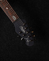 Электрогитара Sterling Majesty in Arctic Dream 7, John Petrucci Signature - купить в "Гитарном Клубе"