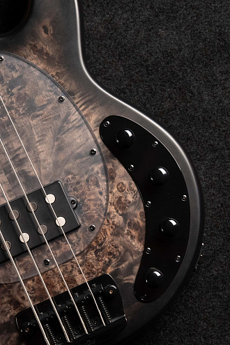 Бас-гитара Sterling StingRay RAY34-PB, Poplar Burl Top, Trans Black - купить в "Гитарном Клубе"