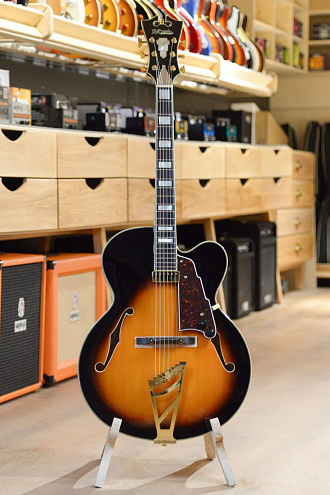 Полуакустическая гитара D