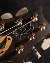 Электрогитара PRS PRIVATE STOCK 40th ANNIVERSARY DRAGON LIMITED - купить в "Гитарном Клубе"