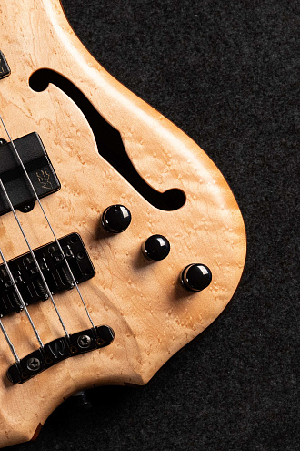 Бас-гитара Warwick Infinity NT  - купить в "Гитарном Клубе"