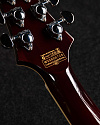 Электрогитара Schecter C-1 E/A Cats Eye - купить в "Гитарном Клубе"
