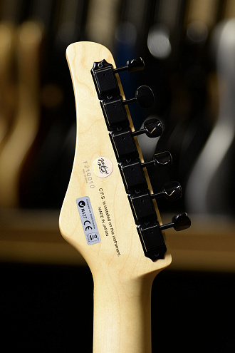 Электрогитара FGN Boundary Odyssey BOS2EW1MHH - купить в "Гитарном Клубе"