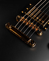 Электрогитара Schecter Solo-II Custom ABSN - купить в "Гитарном Клубе"