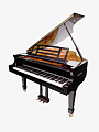 Кабинетный рояль Feurich Dynamic-2 GP-162BK - купить в "Гитарном Клубе"