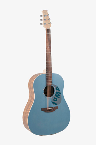 Акустическая гитара Applause AAS69-B Lagoon - купить в "Гитарном Клубе"