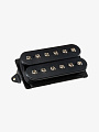Гитарный звукосниматель DiMarzio DP166FBK The Breed F-Spaced, Bridge - купить в "Гитарном Клубе"