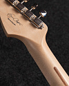 Электрогитара Fender Stratocaster Custom Shop TM Eric Clapton, Blackie, 2022 - купить в "Гитарном Клубе"