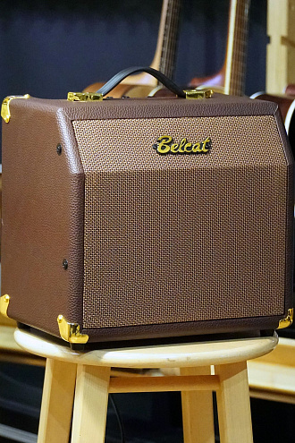 Комбоусилитель для акустической гитары Belcat Acoustic-15C, 15Вт - купить в "Гитарном Клубе"