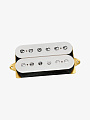 Гитарный звукосниматель DiMarzio DP190W Air Classic, Neck - купить в "Гитарном Клубе"