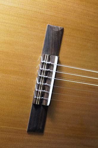 Классическая гитара Kremona F65C Fiesta Soloist Series - купить в "Гитарном Клубе"