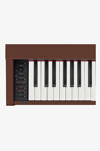 Цифровое пианино Casio PX-770BN - купить в "Гитарном Клубе"