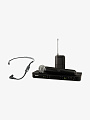 Микрофонная система SHURE BLX1288E/SM35-M17 - купить в "Гитарном Клубе"