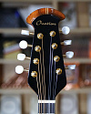 Мандолина Ovation MM68AX-5 Americana Collection Black - купить в "Гитарном Клубе"