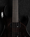 Электрогитара Inspector Phoenix 6 LE black - купить в "Гитарном Клубе"