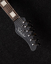 Электрогитара Schecter Pt Ex Dorian Gray - купить в "Гитарном Клубе"