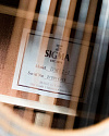 Акустическая 12-струнная гитара Sigma DM12-1 - купить в "Гитарном Клубе"